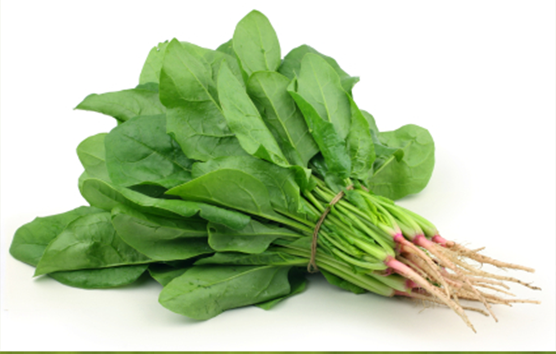 how much spinach do rabbits can eat