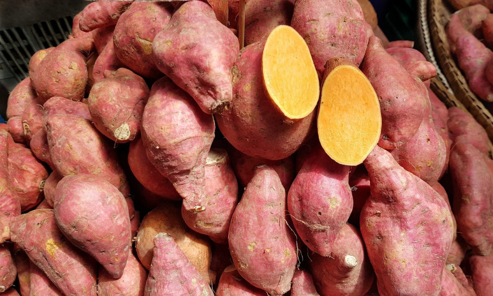 sweet potato for rabbits