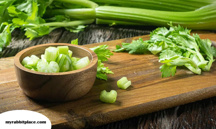 rabbit eating celery