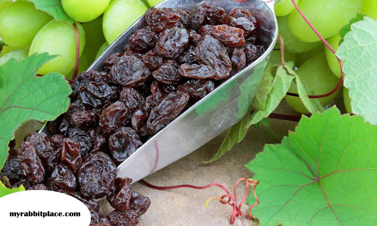 raisins nutritional benefits