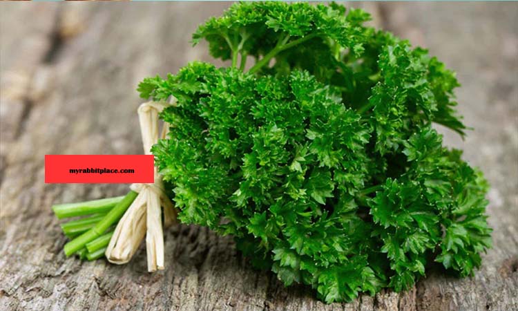 parsley nutritional value