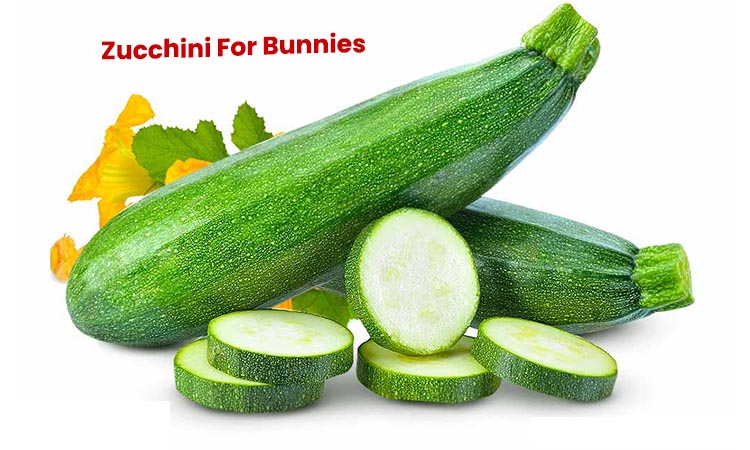 Zucchini for rabbit