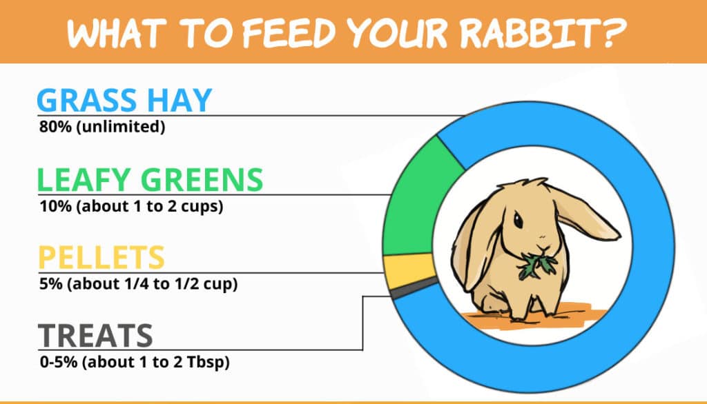 Greens Portion Calculator for Rabbits