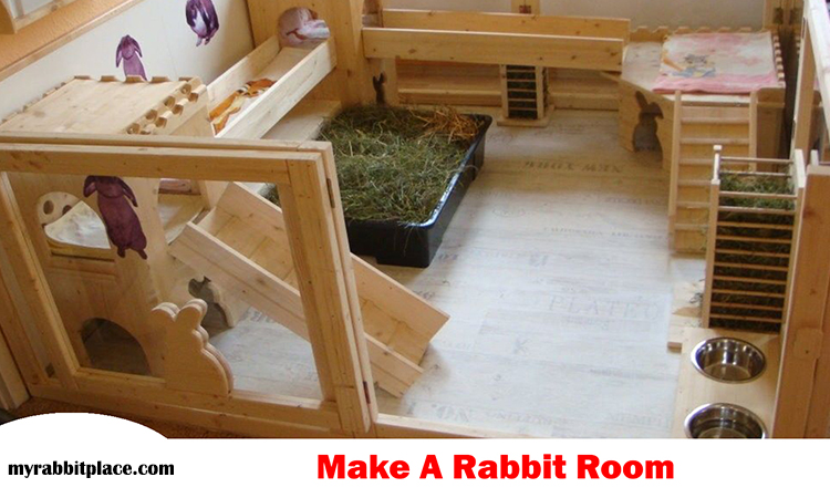 make rabbit room easily