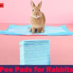 pee pads for rabbit