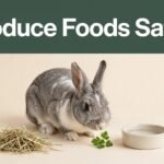 Gray-and-white rabbit sniffing a leafy green beside hay and a water bowl.