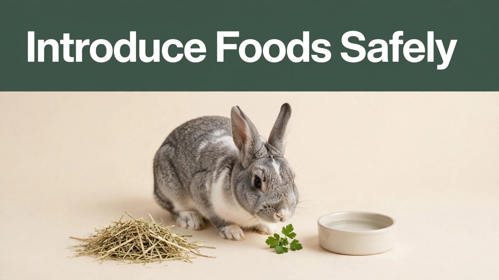 Gray-and-white rabbit sniffing a leafy green beside hay and a water bowl.