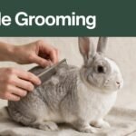 Hands gently comb a small fur tangle from a rabbit resting on a towel.