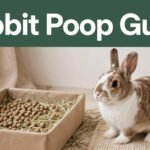 A brown-and-white rabbit sits beside a litter box filled with dry pellets and hay.
